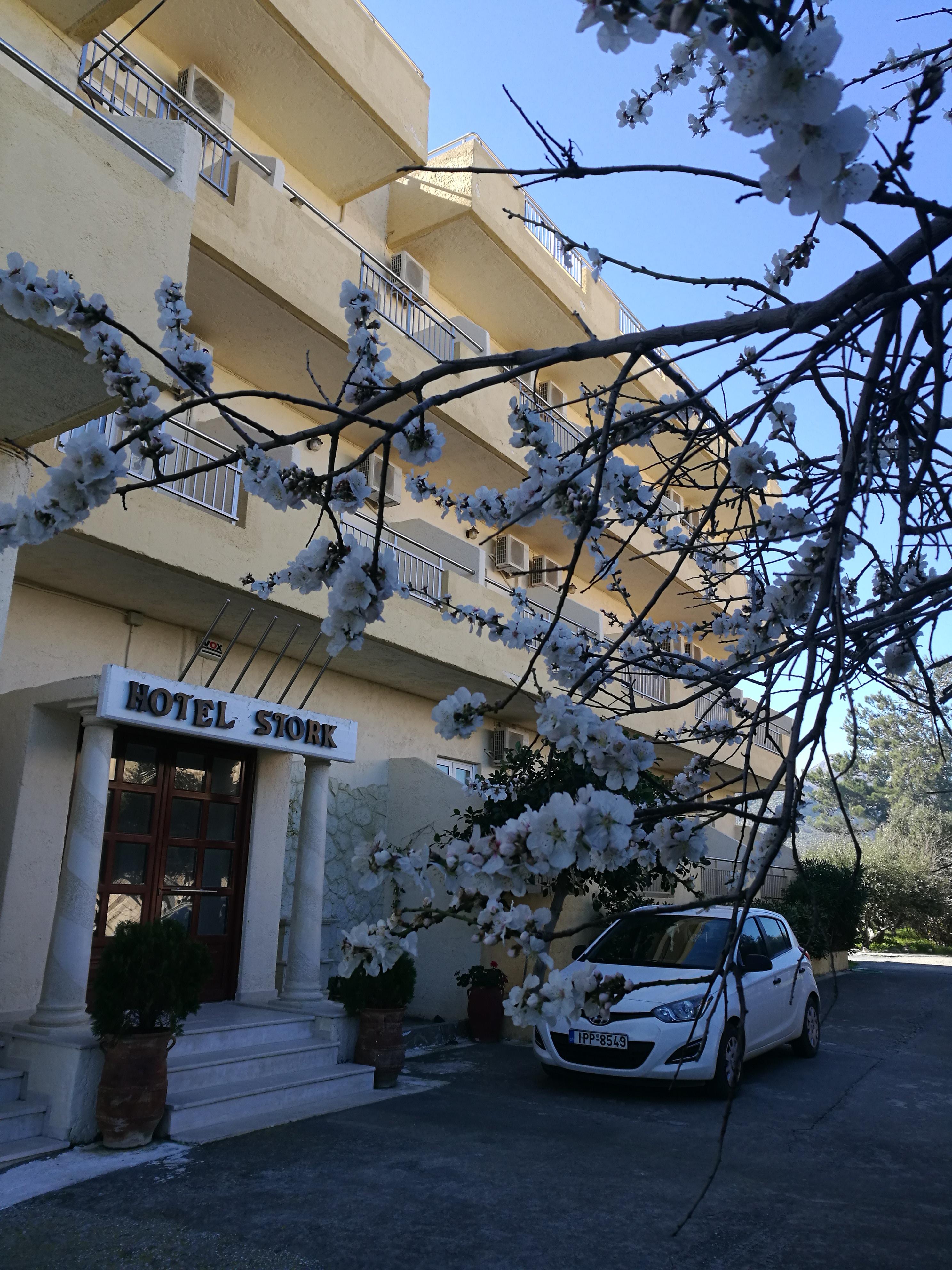 Stork Hotel Amoudara Lasithiou Extérieur photo
